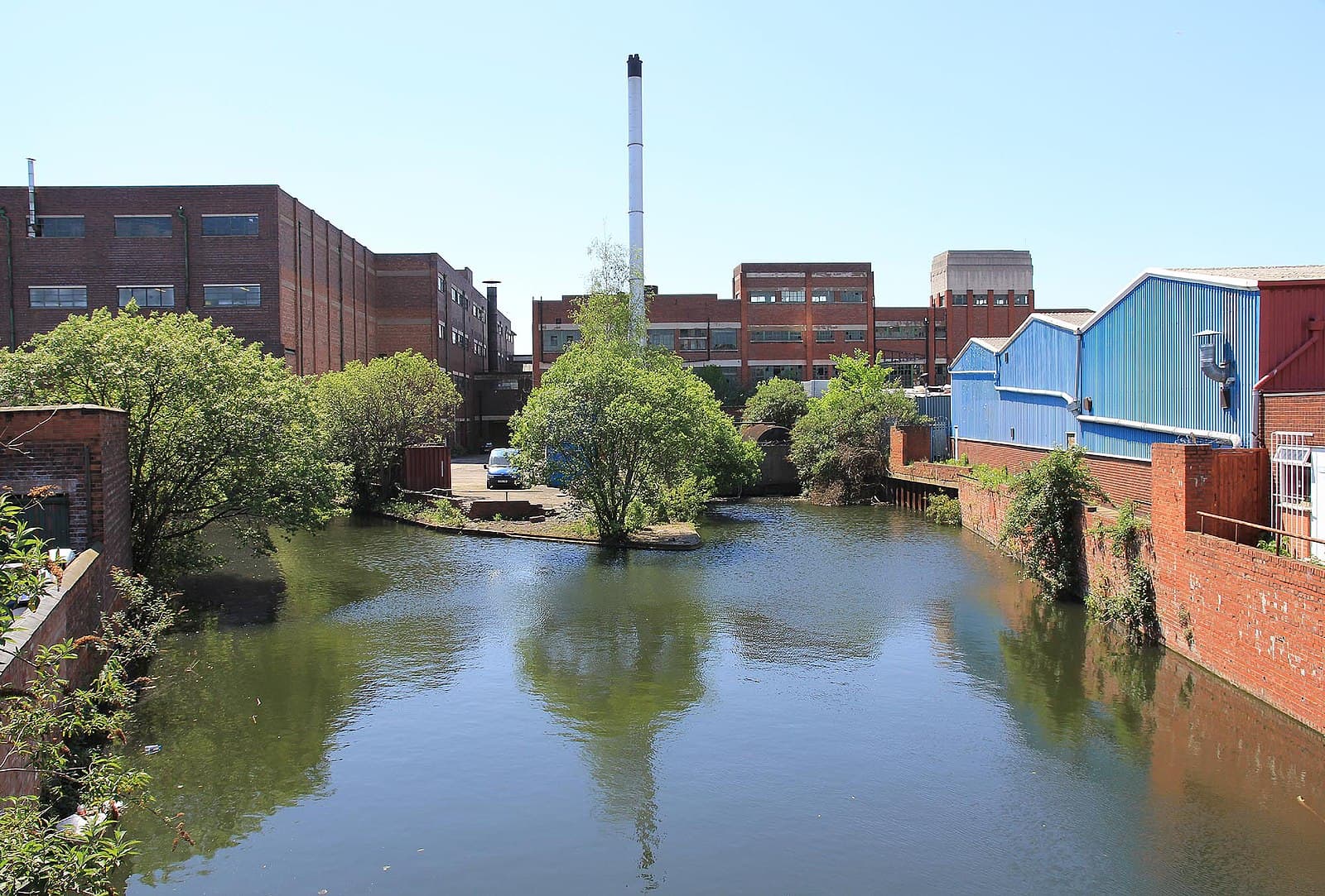 Typhoo Tea: Brewing a Legacy of Quality and Taste