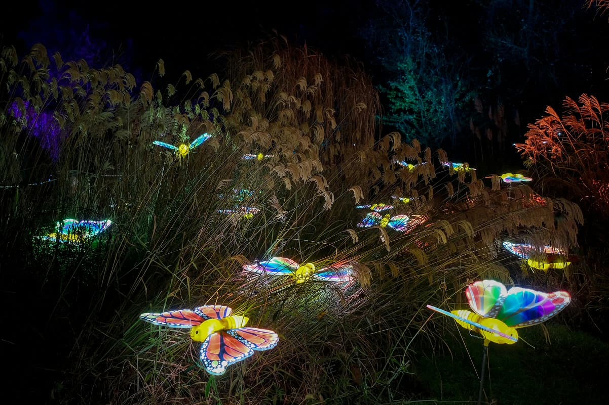 Luminate Returns to Birmingham Botanical Gardens for 2025 Winter Light Trail