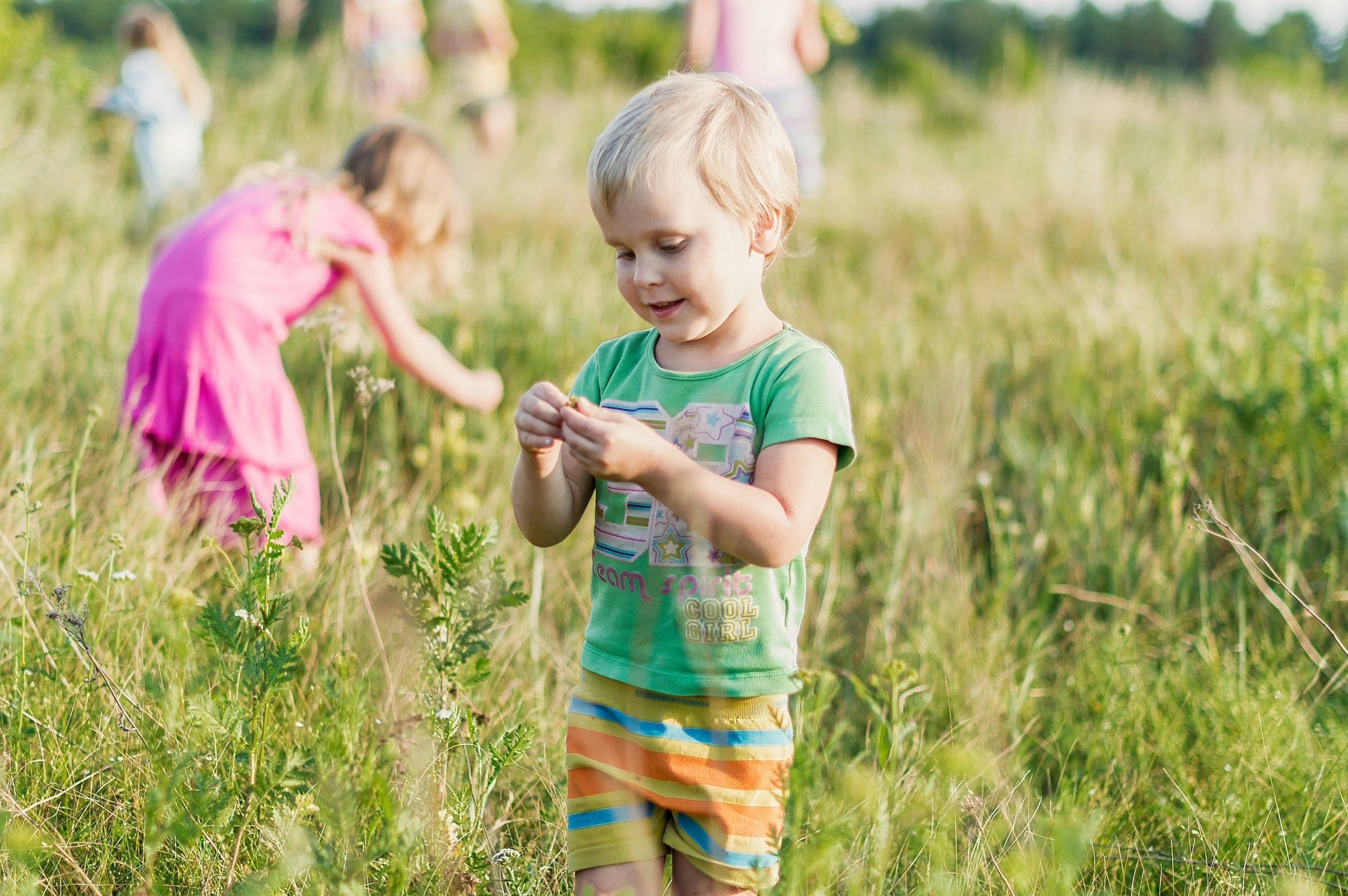 Discover Nature: Haddon Hall’s Little School of Ecology Launches This Summer