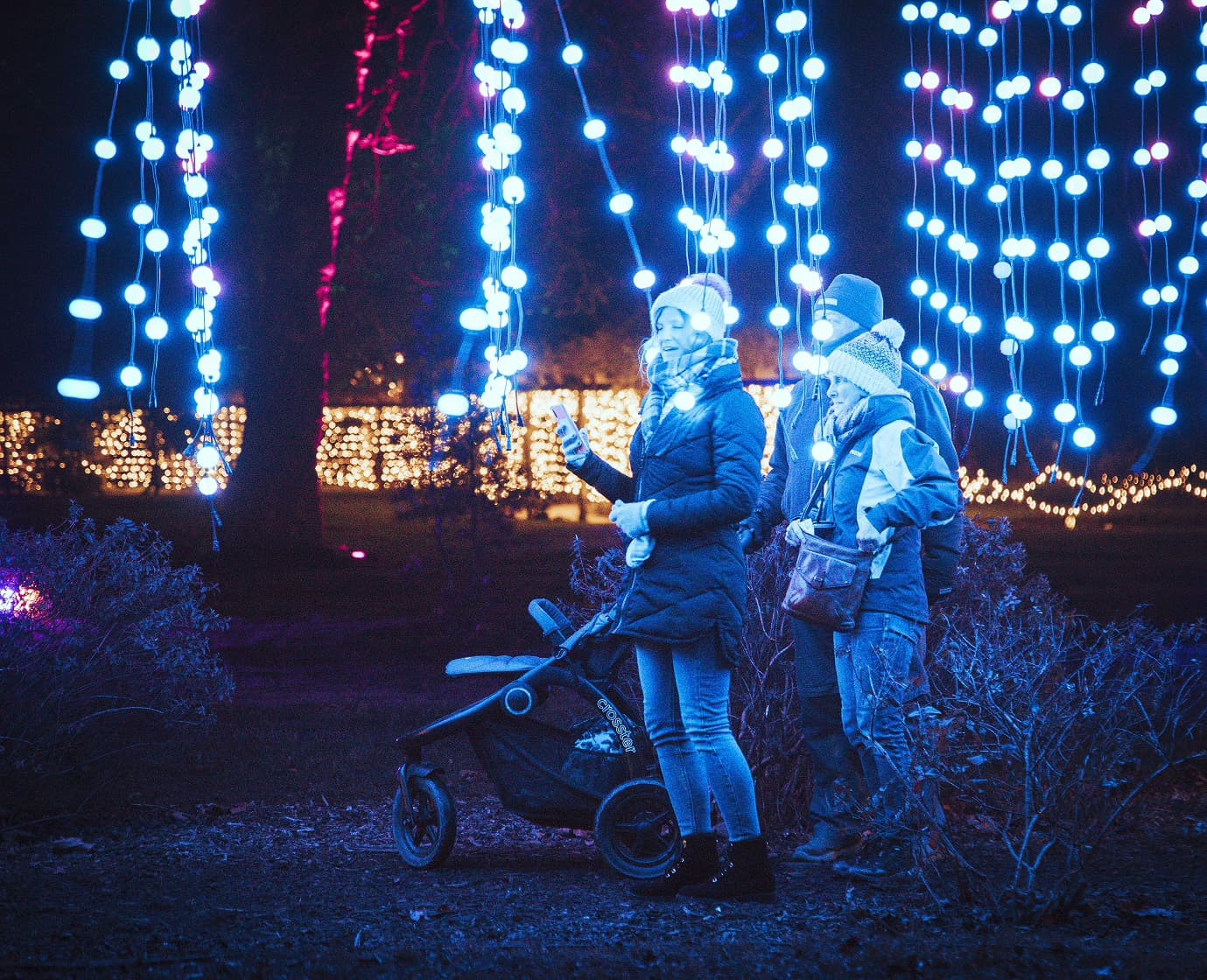 Birmingham Botanical Gardens to Glow Again as Luminate Lights Up Winter Nights